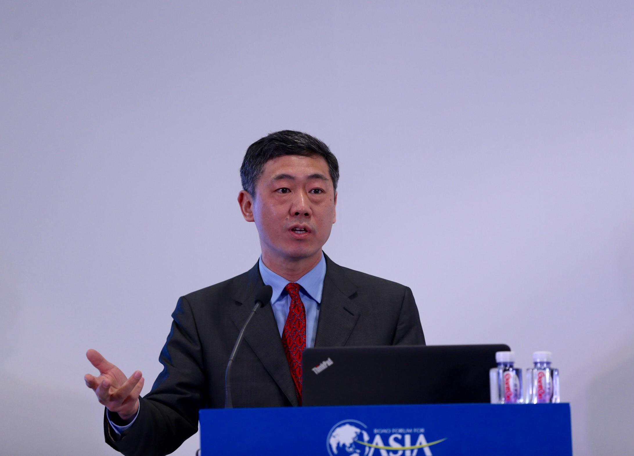 清华大学中国与世界经济研究中心主任李稻葵: