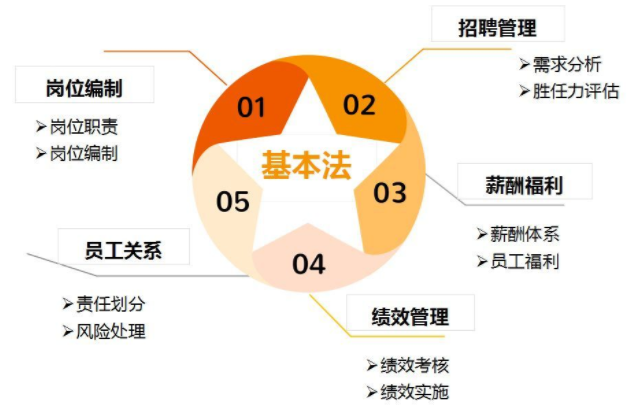 中泓源集团执行总裁邢洋:千帆竞发 勇进者胜 -