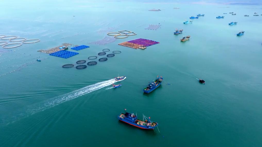 新华视点丨绿色动力 蓝色梦想——中国航海装备驶向星辰大海