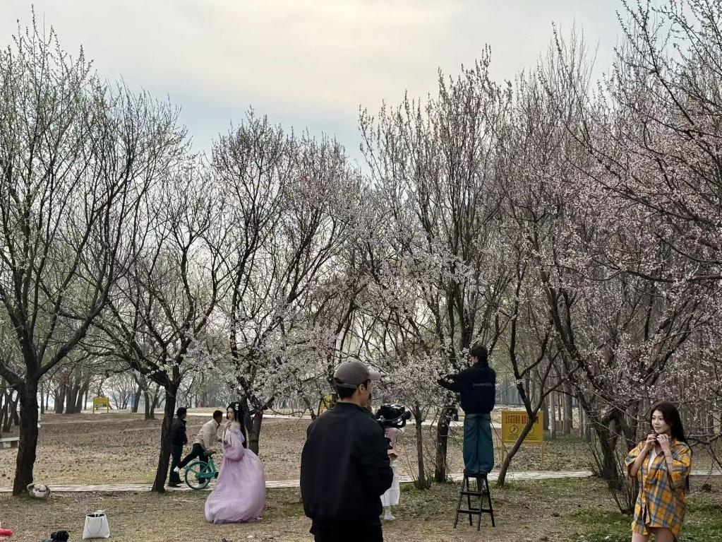 “花样经济”何以动人心？