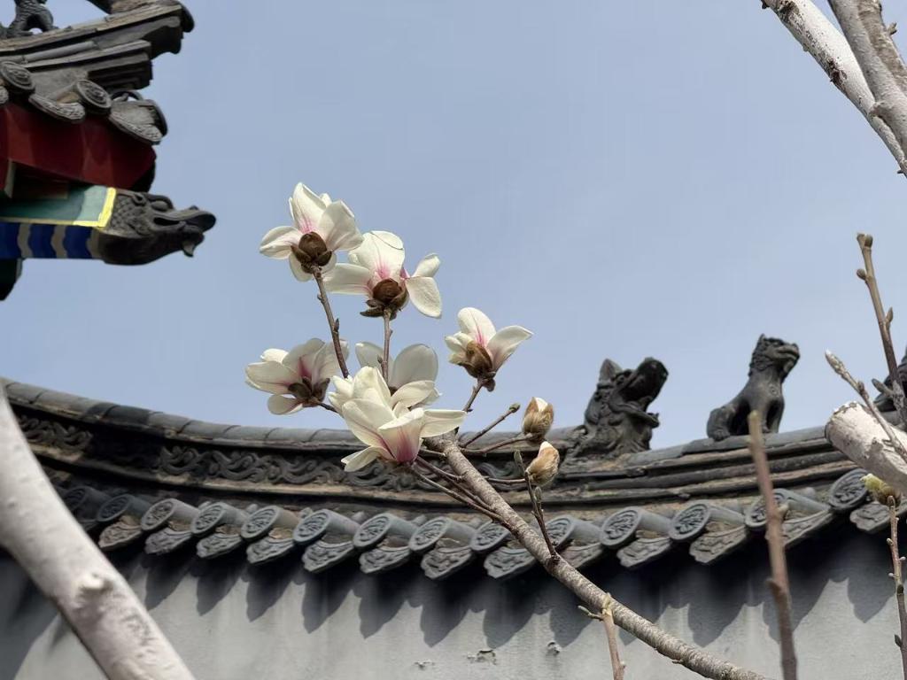 “花样经济”何以动人心？