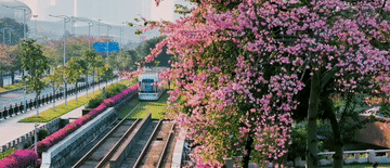 跟着总书记的考察足迹｜瞰广东