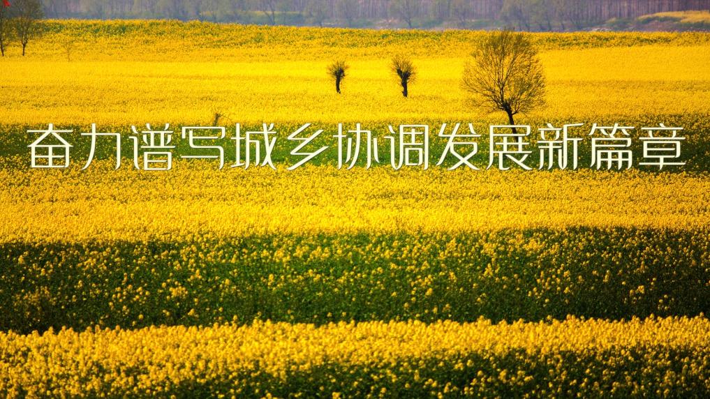 新华视点丨奋力谱写城乡协调发展新篇章