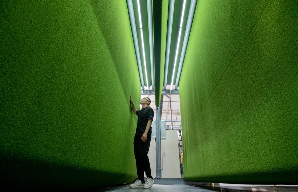 习近平总书记关切事丨中国体育逐梦正当时（下篇）