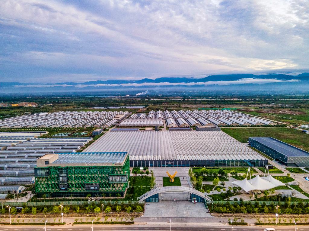 新春走基层丨“农科城”杨凌：农业“新标尺”标注新春新希望