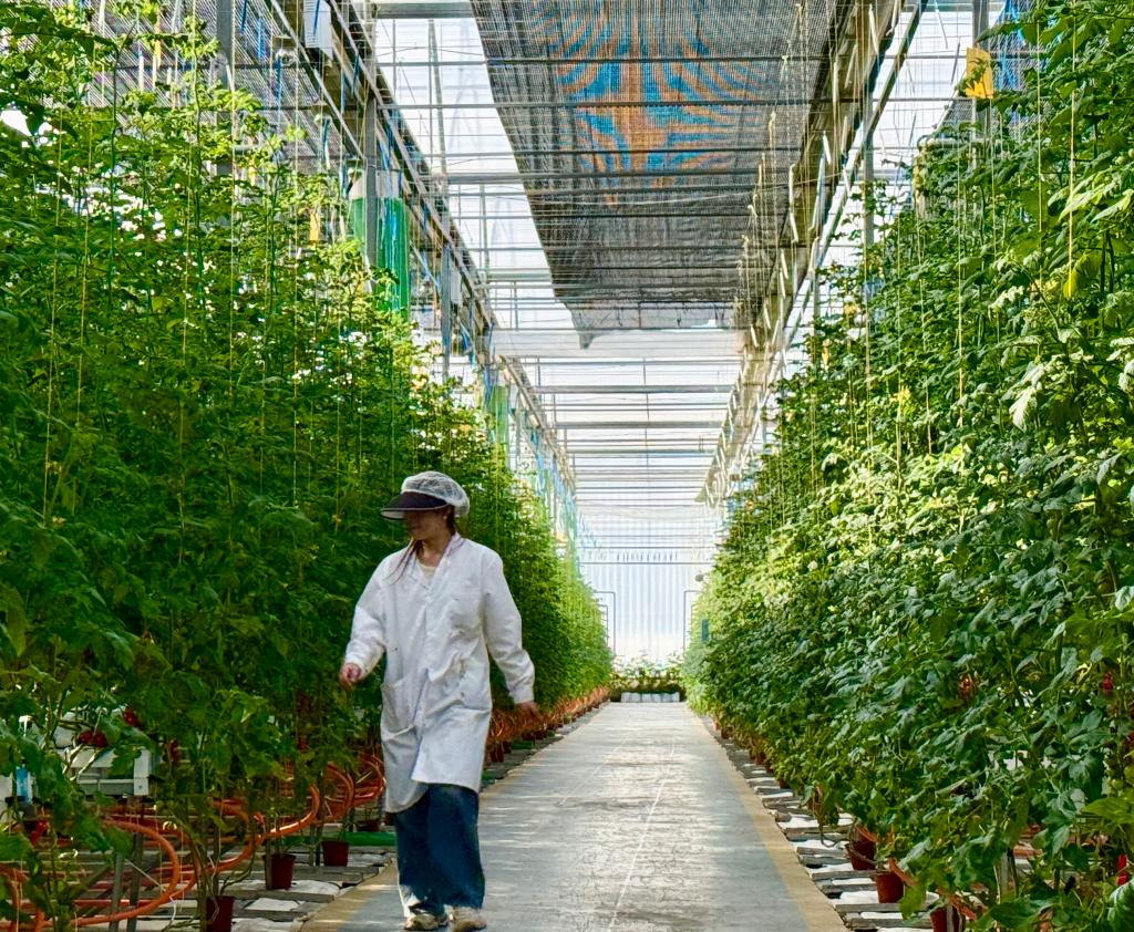 新春走基层丨“农科城”杨凌：农业“新标尺”标注新春新希望