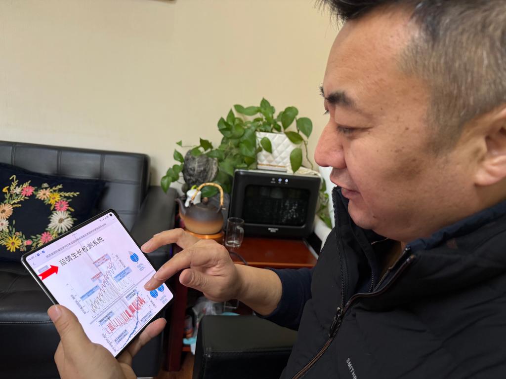 新春走基层丨“农科城”杨凌：农业“新标尺”标注新春新希望