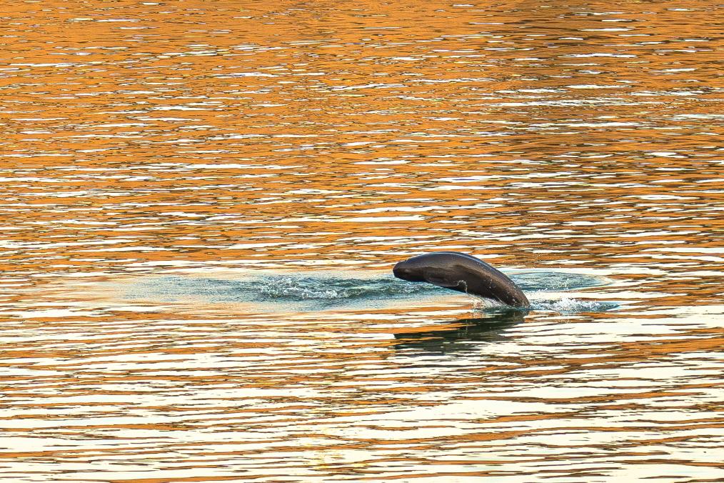 新春走基层丨立规之地听回响