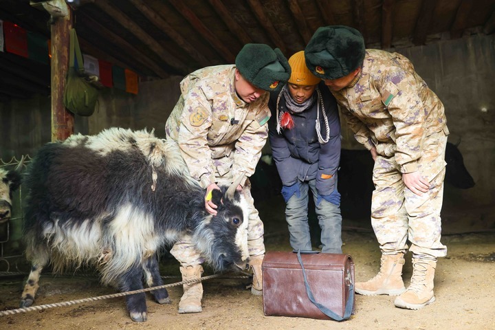 一马当先热血涌——陆军第76集团军某旅玉树独立骑兵连春节见闻