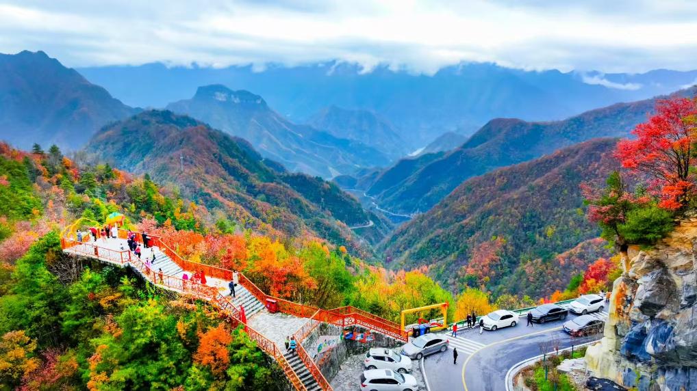 新春走基层丨一条路如何改写一座城