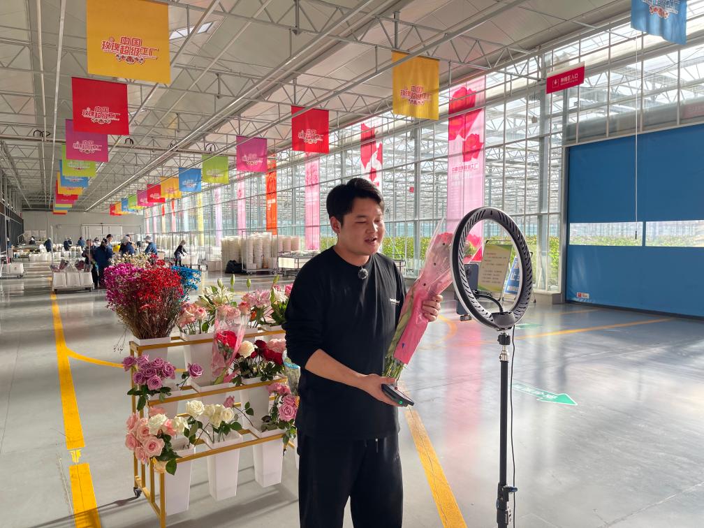 新春走基层丨甘肃临夏:黄土高坡绽放“花”样生活