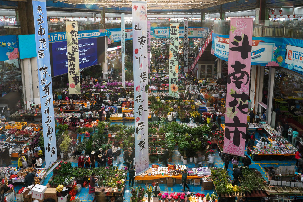 镜观·回响丨新春购物车 满载经济新动能