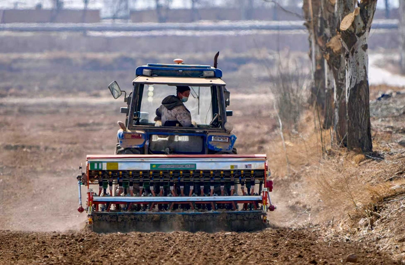 宁夏贺兰:人勤春来早 小麦播种忙