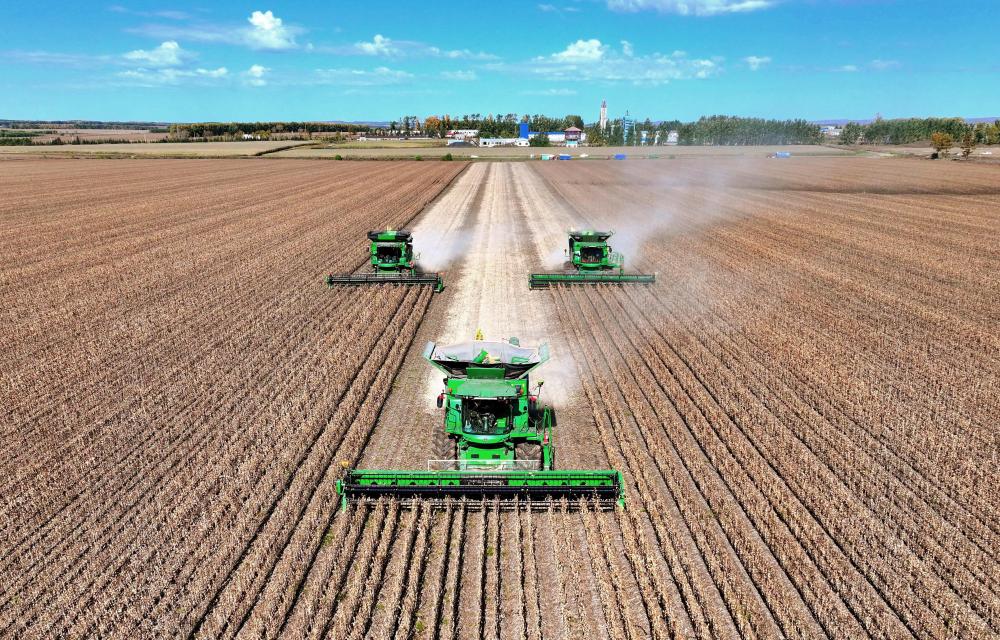 “中国经济圆桌会”聚焦“十五五”规划纲要