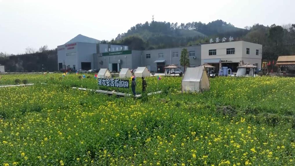 新华视点｜春日盛景赋能“花经济” 文旅融合焕发新活力