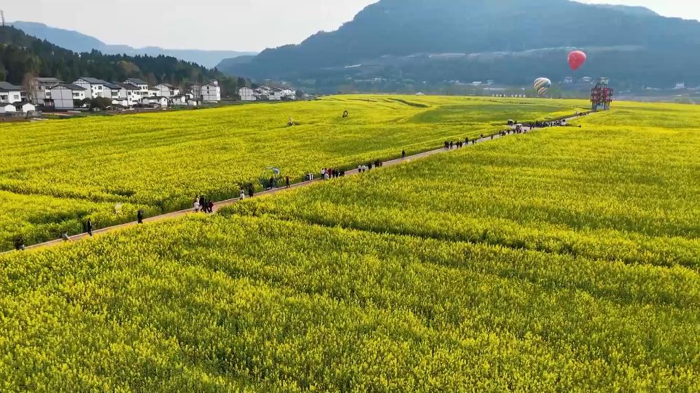 新华视点｜春日盛景赋能“花经济” 文旅融合焕发新活力