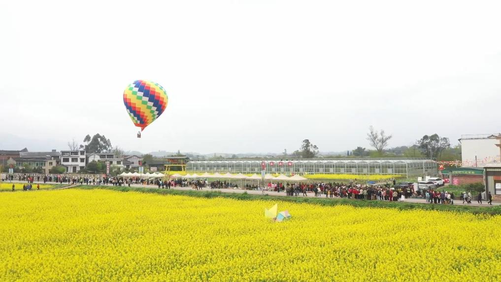 新华视点｜春日盛景赋能“花经济” 文旅融合焕发新活力