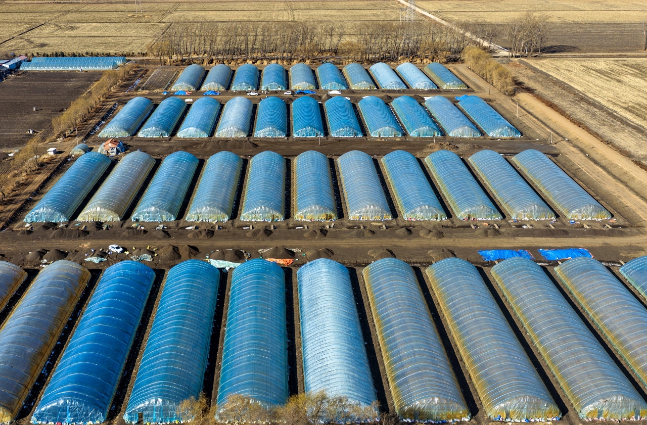 黑龙江北大荒抢抓农时备春耕