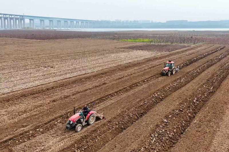 黄河岸边农事忙
