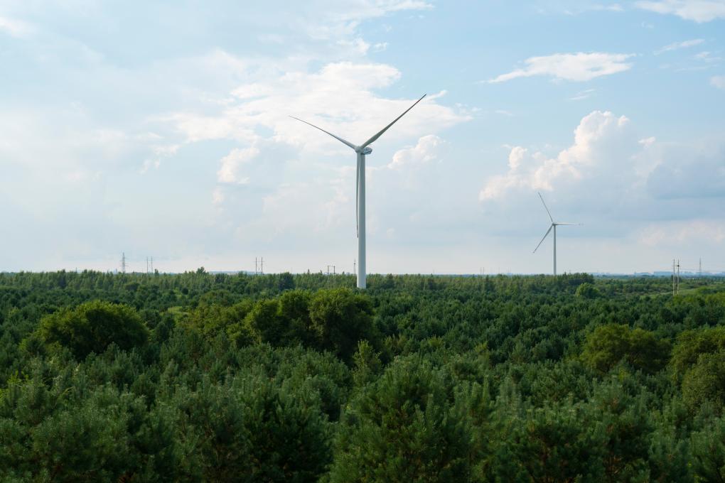 习近平总书记关切事｜以林为笔的生态答卷