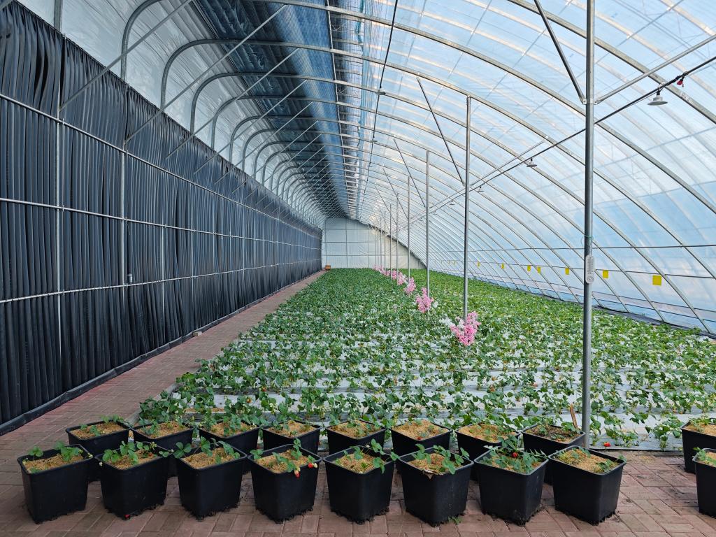 习近平总书记关切事｜以林为笔的生态答卷