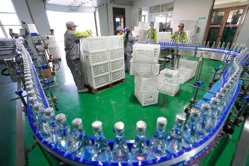 习近平总书记关切事｜以林为笔的生态答卷