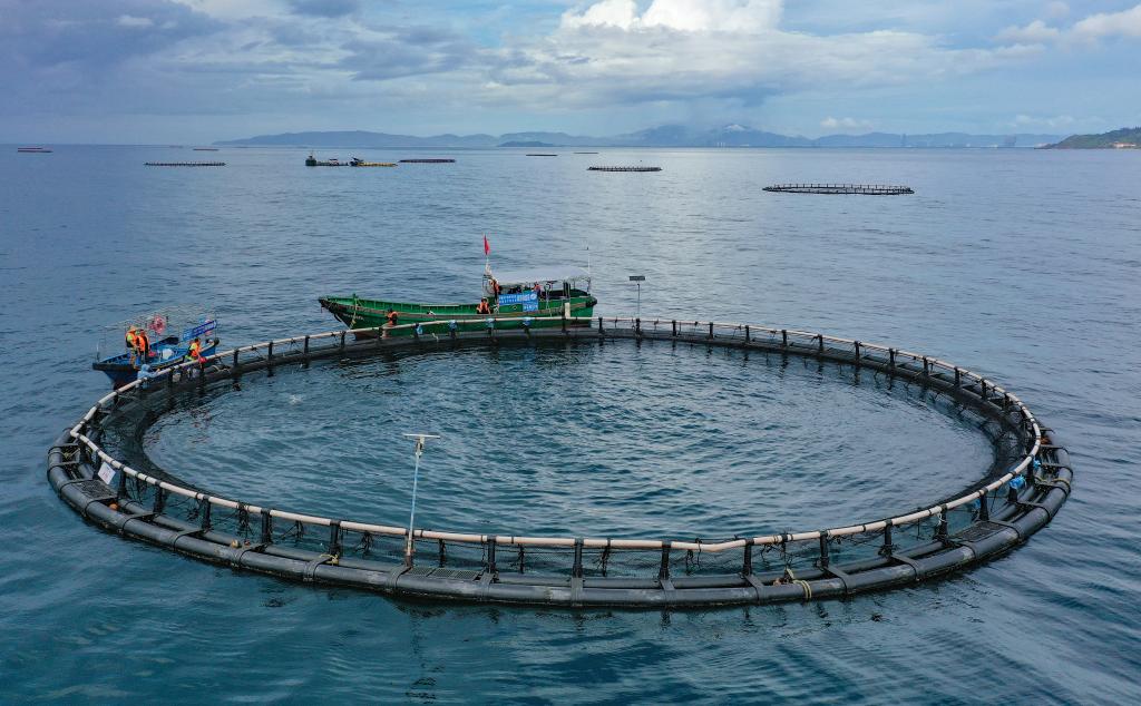 新华鲜报丨约占全球56%！中国渔业好“丰”景