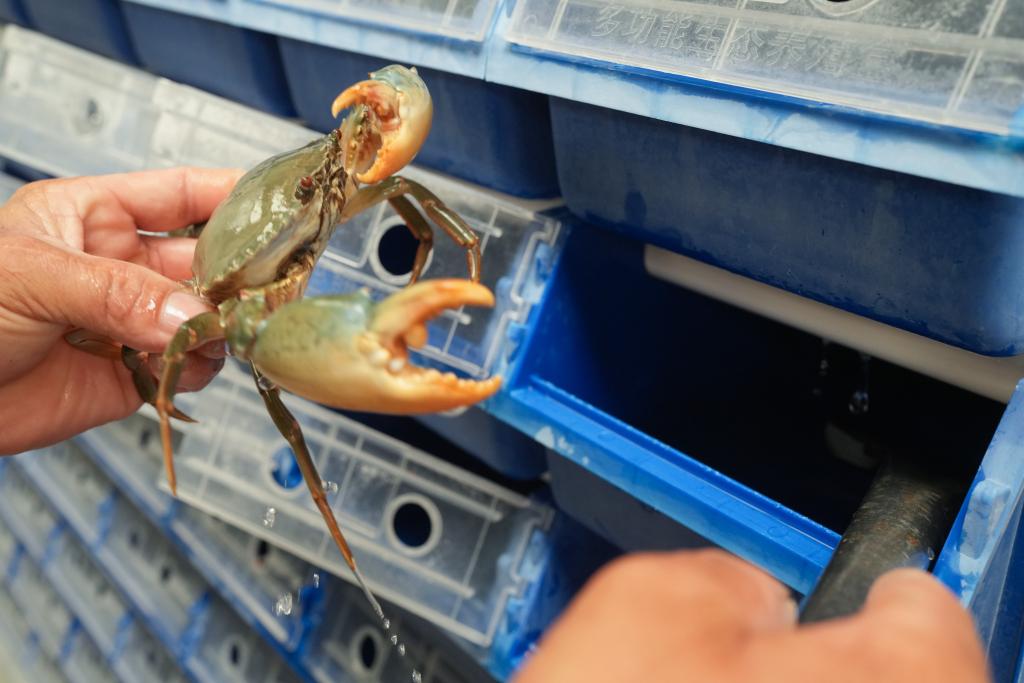 新华鲜报丨约占全球56%！中国渔业好“丰”景