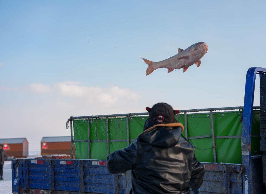 新华鲜报丨约占全球56%！中国渔业好“丰”景