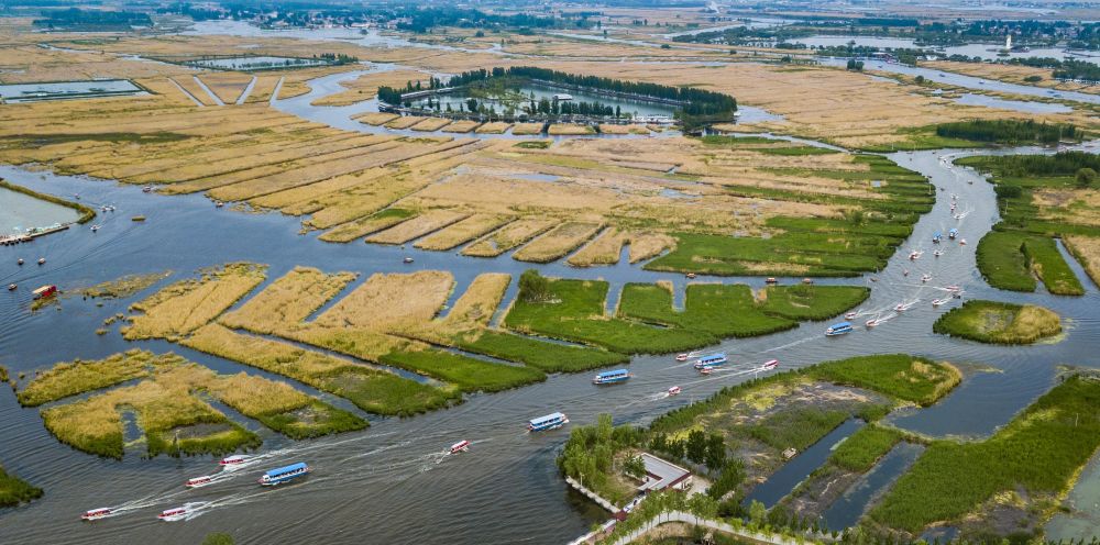 第1视点丨影像见证“未来之城”拔节生长