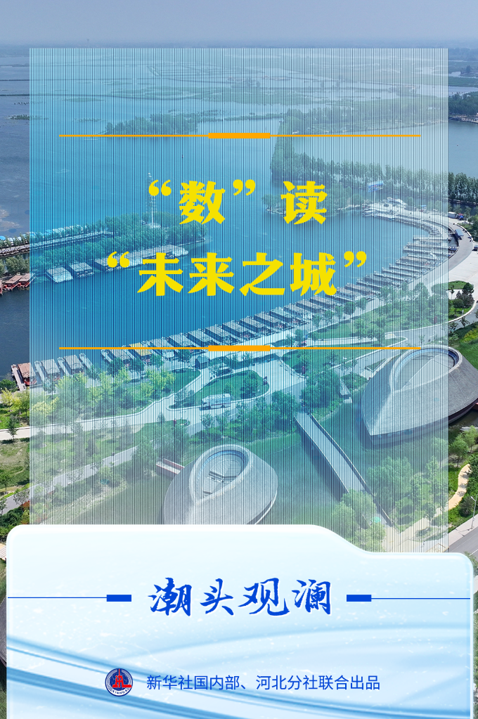 潮头观澜丨“数”读“未来之城”