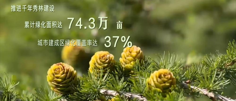 跟着总书记的考察足迹丨瞰雄安