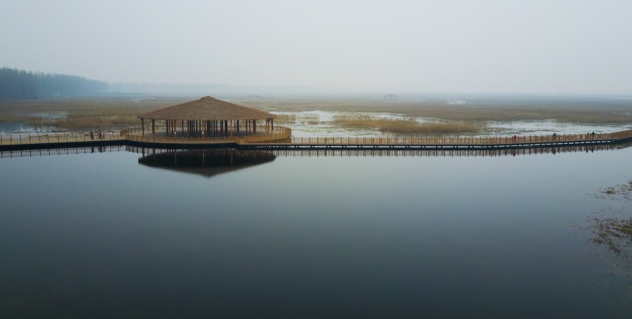 学习进行时丨习近平总书记引领雄安新区高质量建设和发展的故事