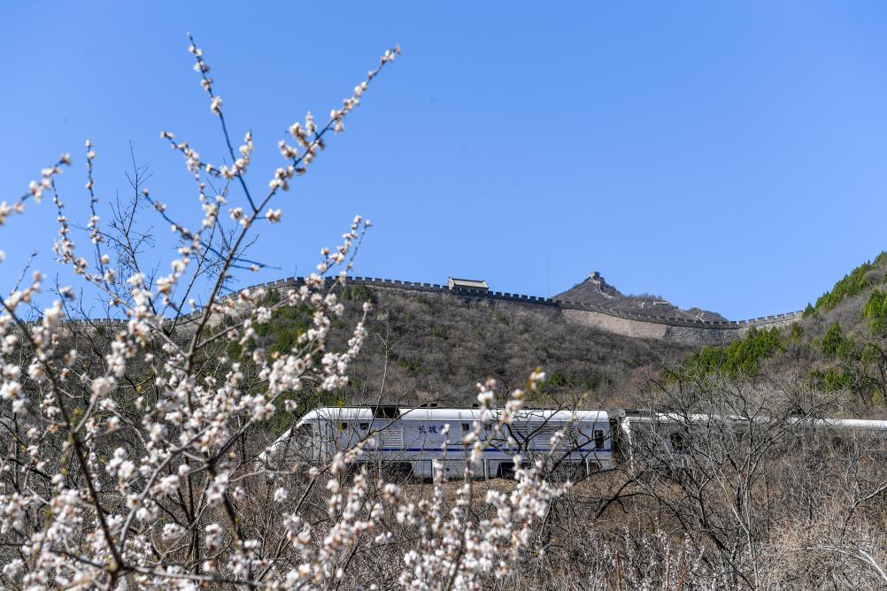 春日经济新图景丨开往春天的列车，一路繁花一路歌！