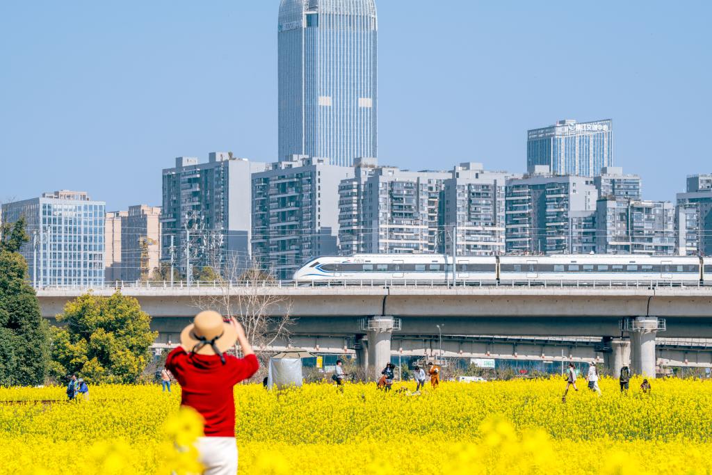 春日经济新图景丨开往春天的列车，一路繁花一路歌！