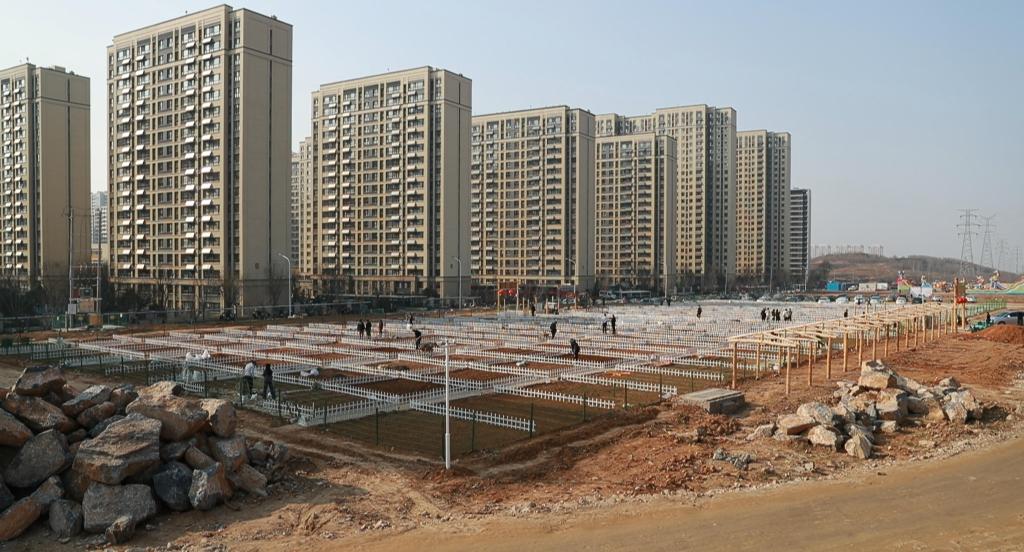 新华视点丨“春日经济”下,“共享菜园”为啥火了?