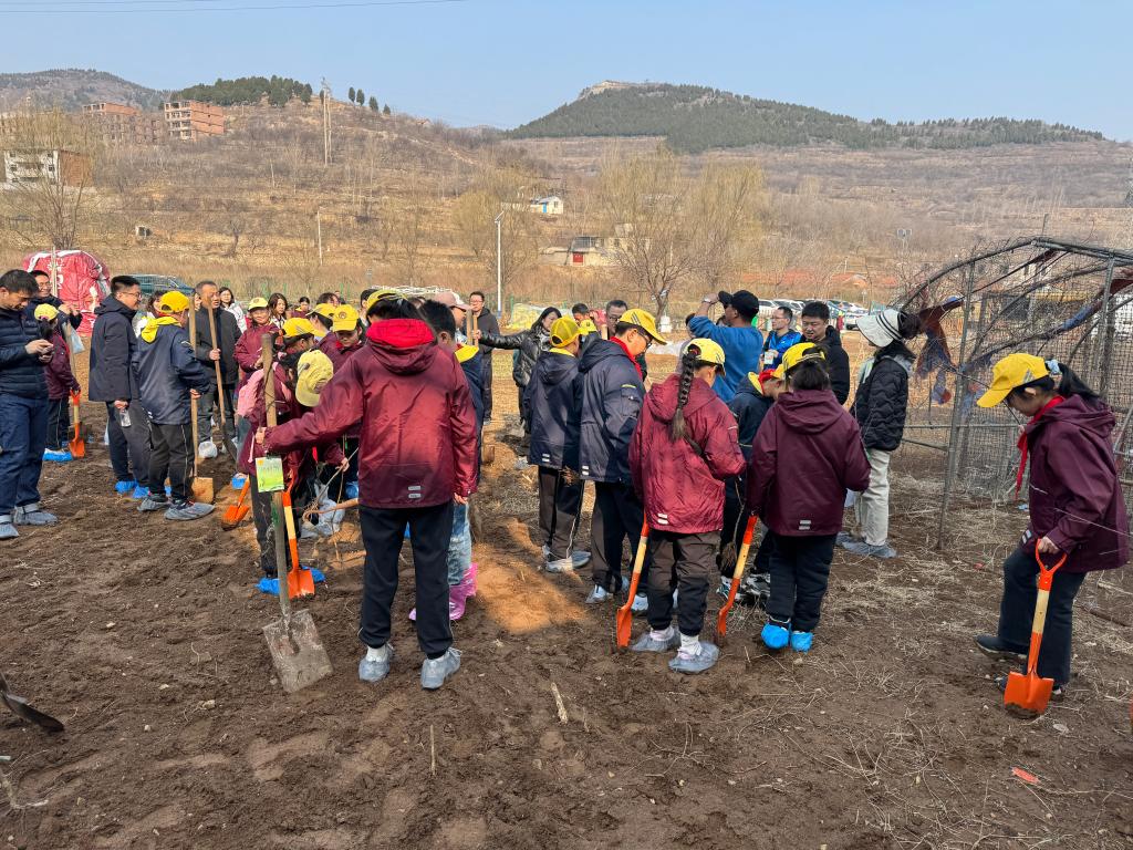 新华视点丨“春日经济”下,“共享菜园”为啥火了?