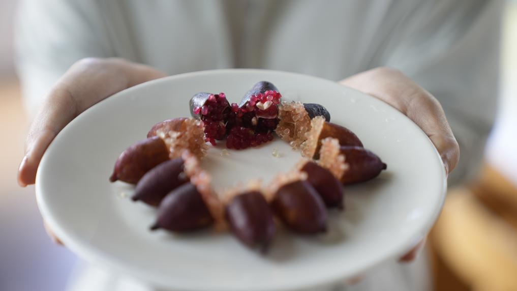 琼海世界热带水果之窗的甜蜜产业链