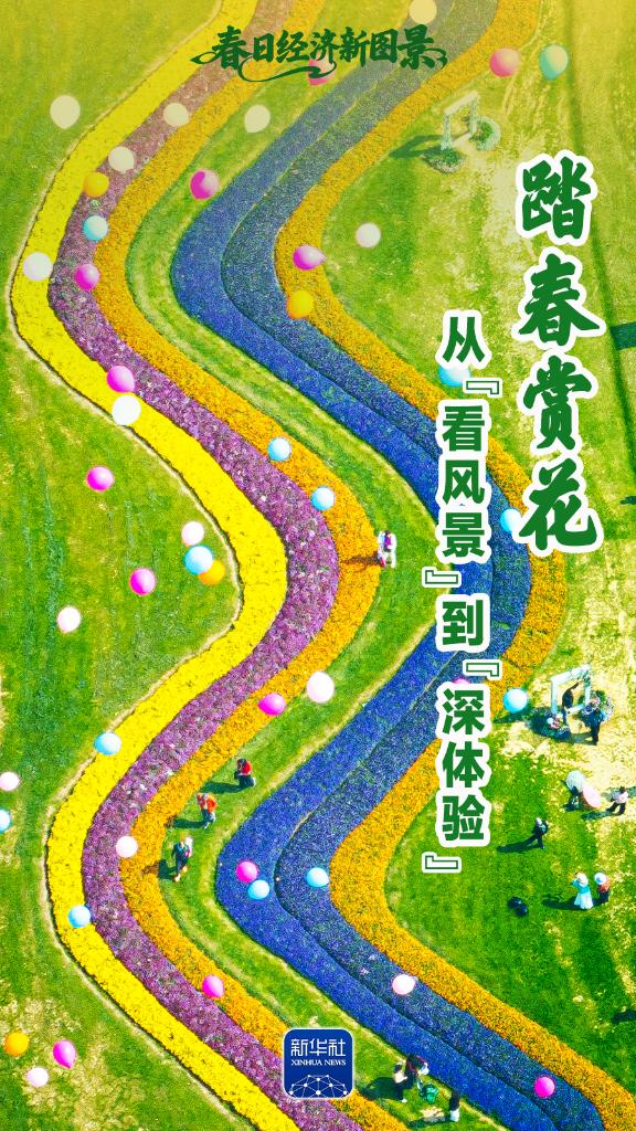 春日经济新图景丨踏春赏花，从“看风景”到“深体验”