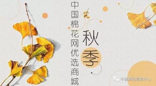 2017轮出|储备棉成交量将破300万吨 这些关键点要掌握