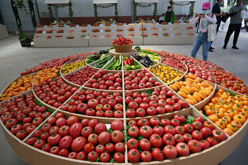 2022年7月27日，第九届宁夏种业博览会开幕，展出近400家企业的4000余个品种的种子产品。新华社图_副本.jpg