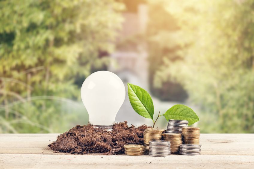 消费向“绿”而行 在消博会遇见“低碳生活”