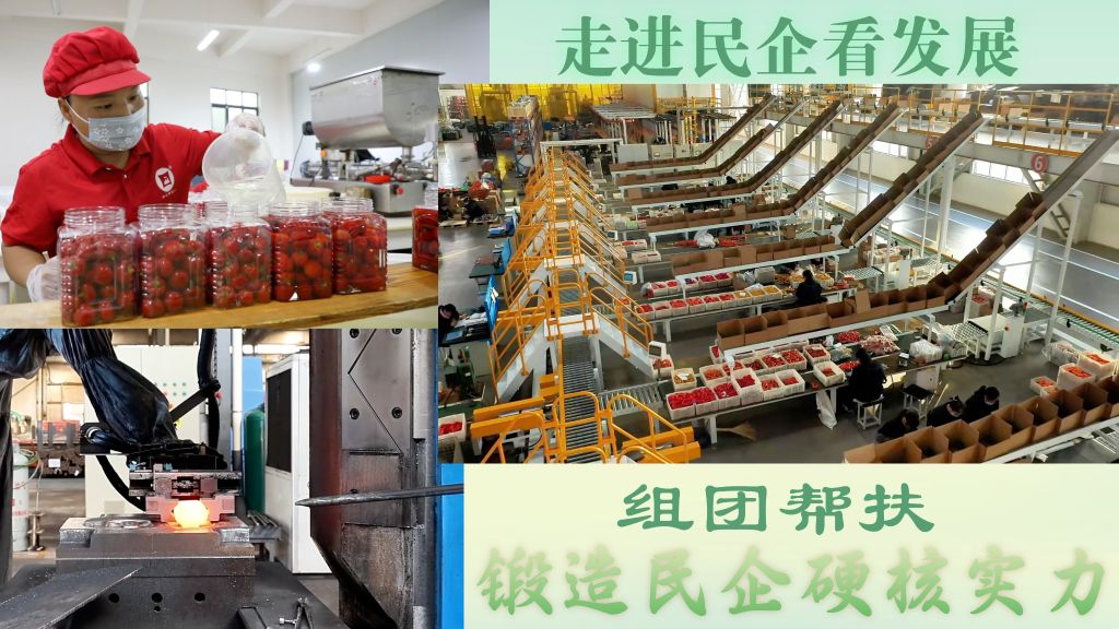 走进民企看发展丨组团帮扶 锻造民企硬核实力