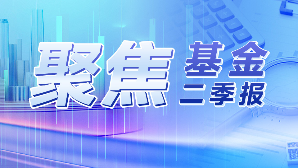 聚焦公募基金二季报