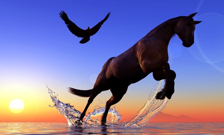 期货大鳄丛生 商品黑马狂奔.jpg