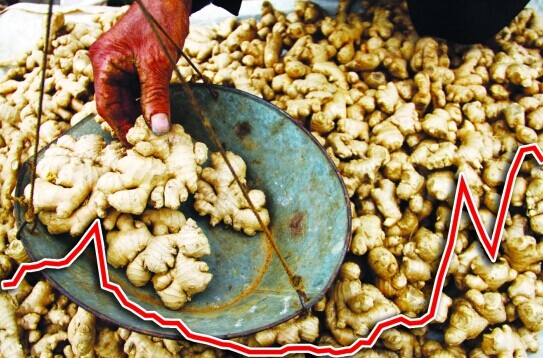 姜价直逼猪价 农产品缘何难脱“价格怪圈”.jpg