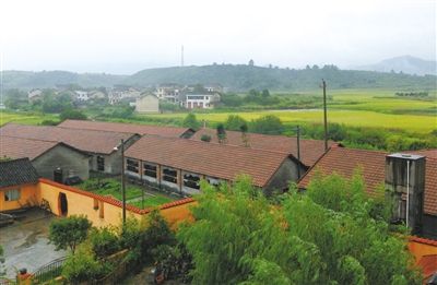 ͩľϪ����������ҵ�й����г����ǹ�˾�չ����ʲ�����������ҵ�����ƴ�ֻ�����ޡ�