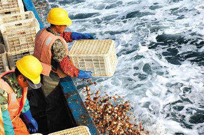 ��ӵ���ҵ����������������Ϻ���ȱ����硣ͼ/����IC