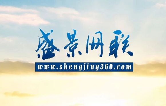 ʢ���γɷ�����ֻ10��Ԫ������ĸ����