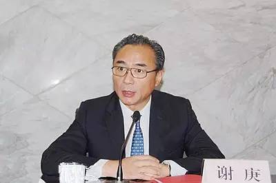 全国中小企业股份转让系统有限责任公司总经理、党委副书记